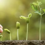 Destruimos o ayudamos nuestra Naturaleza?